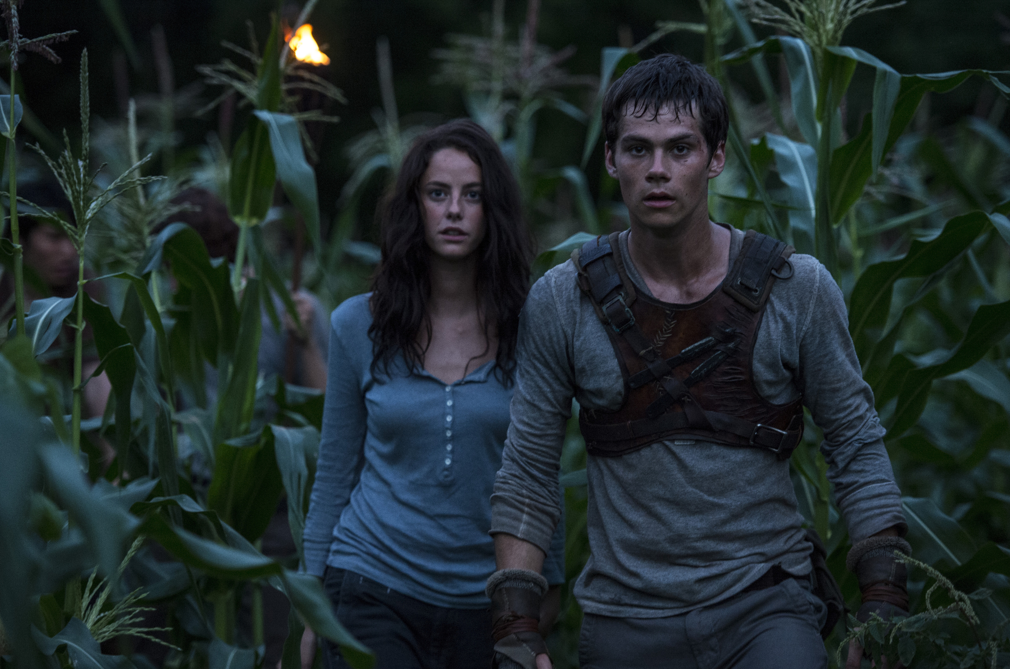 Image de fond du film Le Labyrinthe